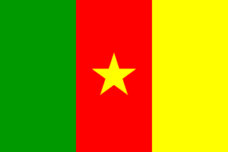 Flag of Cameroon 